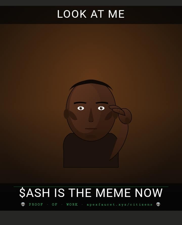 $ASH is the meme now